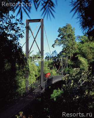 Four Seasons Tented Camp Golden Triangle 15